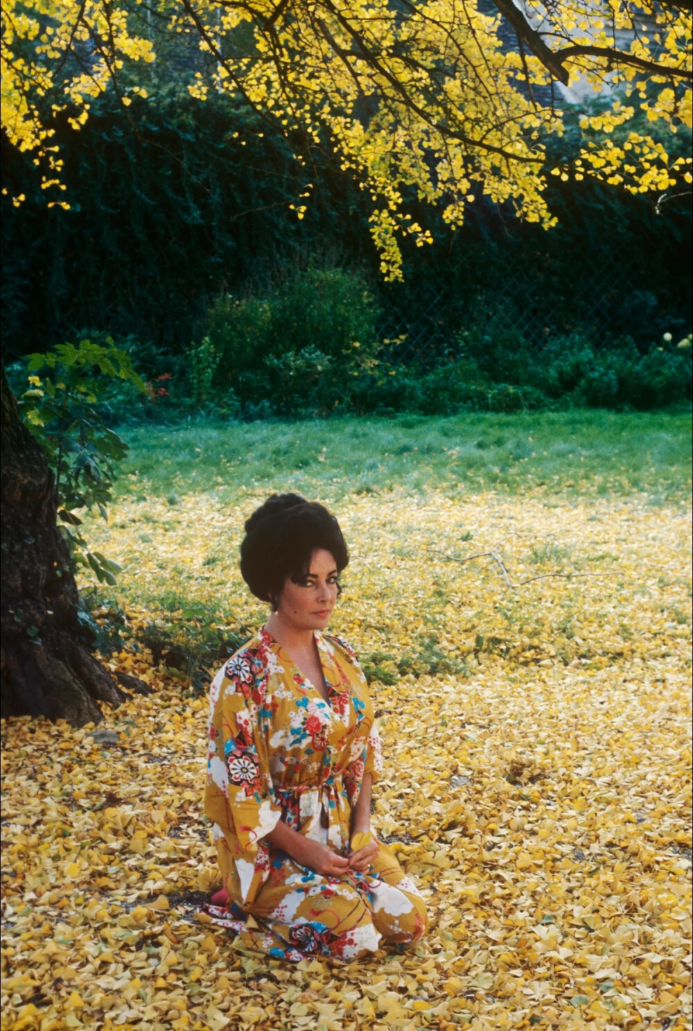 Elizabeth Taylor