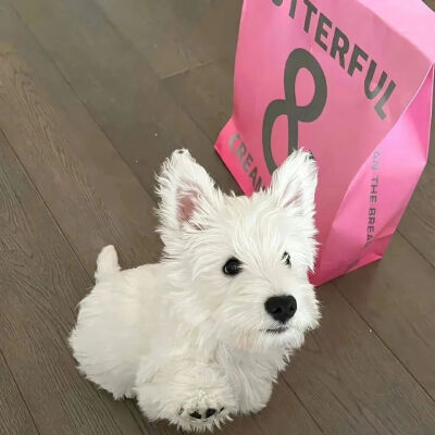 你是树荫还是雨滴 我没戴眼镜 分不清