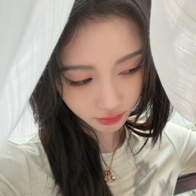小猫吧