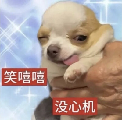 表情包