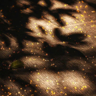 背景图