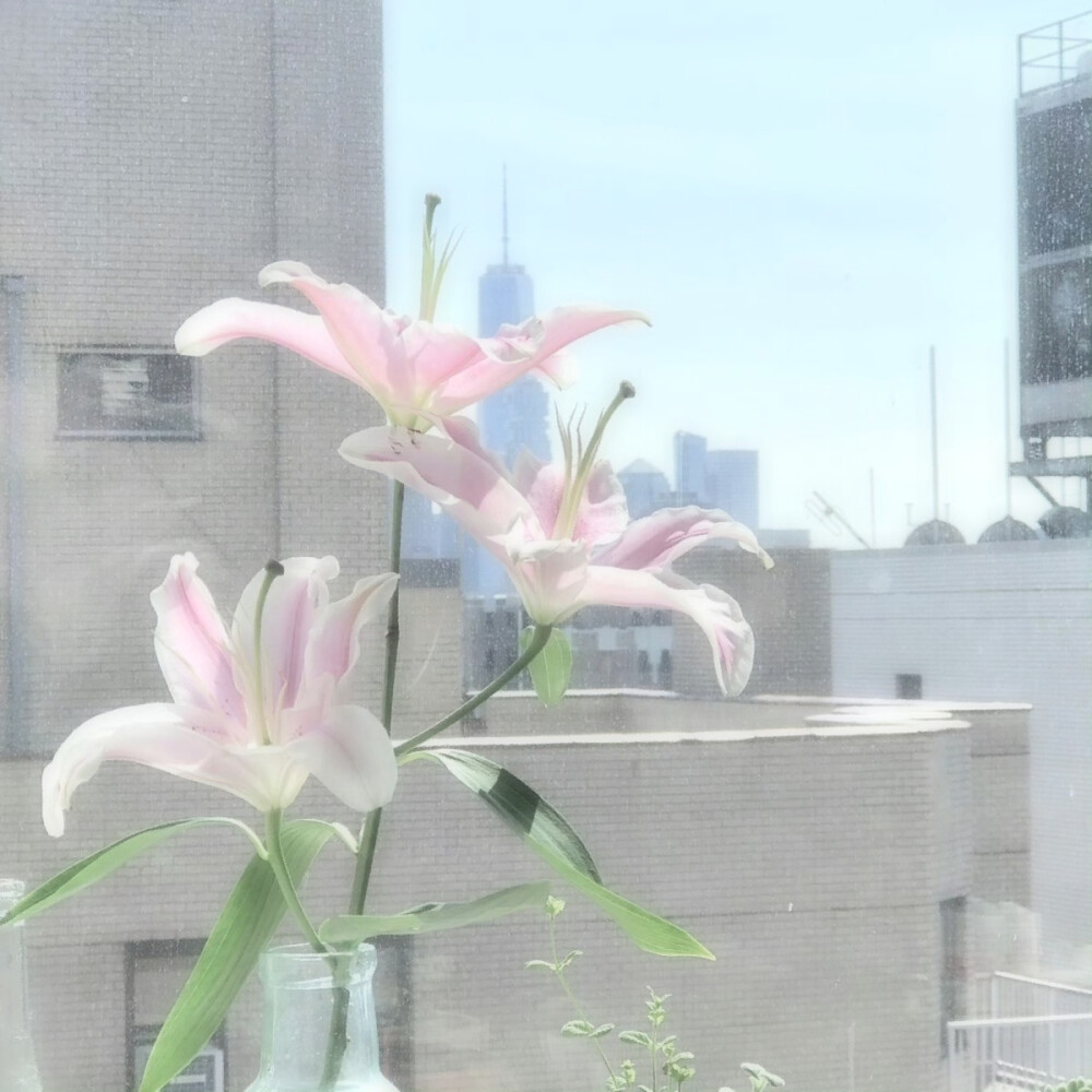 誓言是一场有时差的雨 