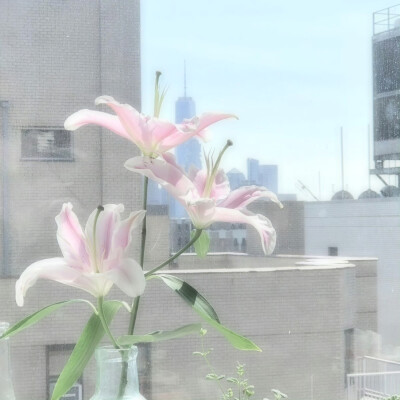 誓言是一场有时差的雨 