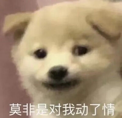 表情包