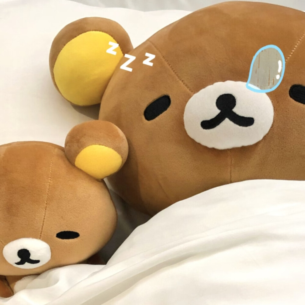 小红书：小羊大王