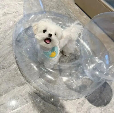 你是树荫还是雨滴 我没戴眼镜 分不清