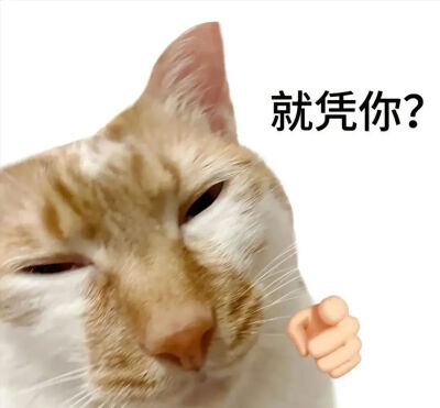 表情包