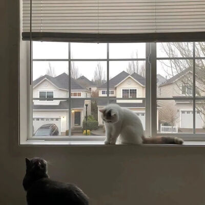 你是树荫还是雨滴 我没戴眼镜 分不清