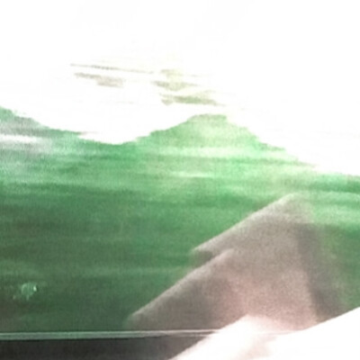 1955、Damp：邮票遗落在铁塔下枯叶堆里…