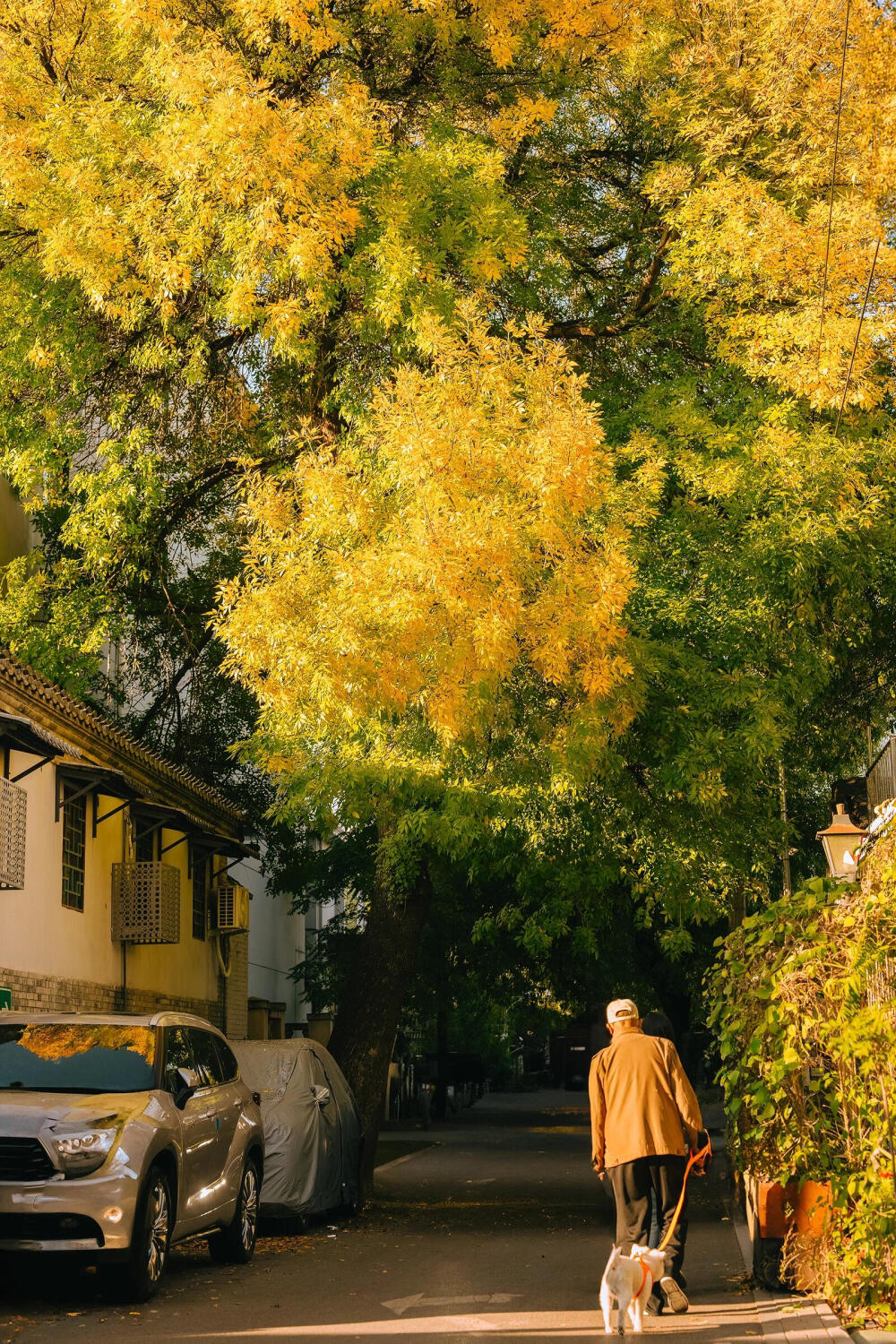 北京 秋天
©Linkの旅行