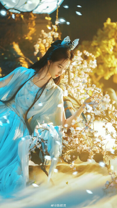 陈都灵