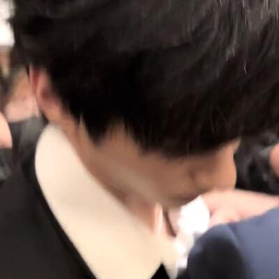 真选组