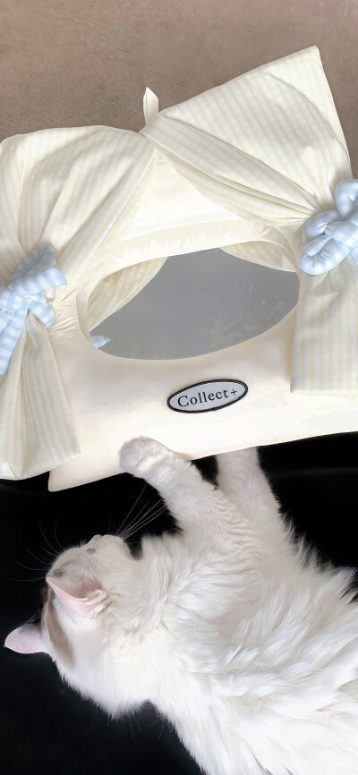 手机壁纸｜聊天背景图