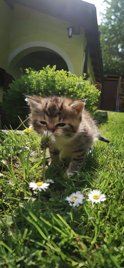 手机壁纸｜聊天背景图