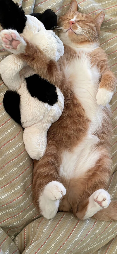 手机壁纸｜聊天背景图