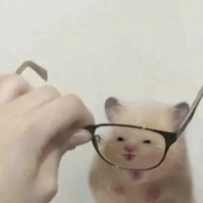 XIAOGOU 