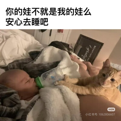 我是不会放弃收集这种图片的