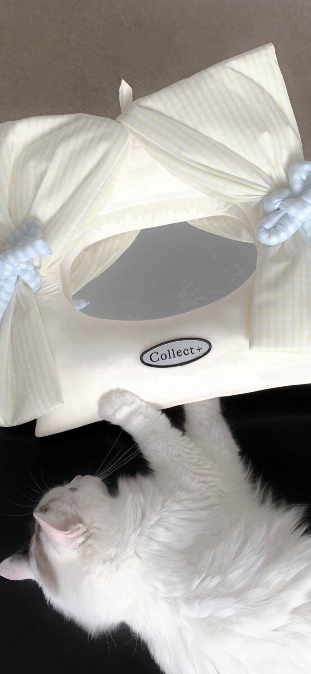 手机壁纸｜聊天背景图