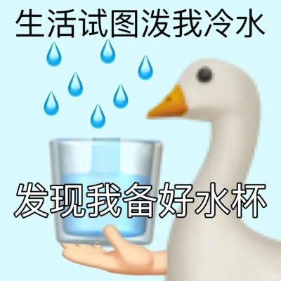 表情包
