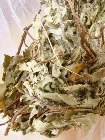 北方小蓟(ji第四声）打粉给娃贴太溪穴，明亮眼睛