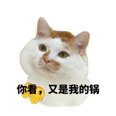 表情