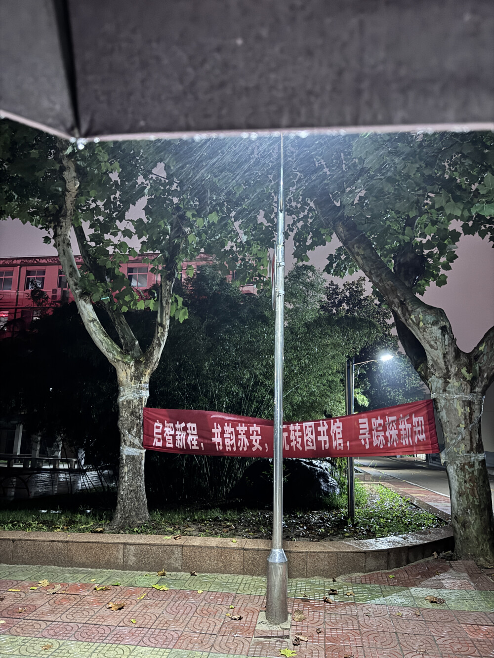 图书馆到 B2 的距离是一首 Angel