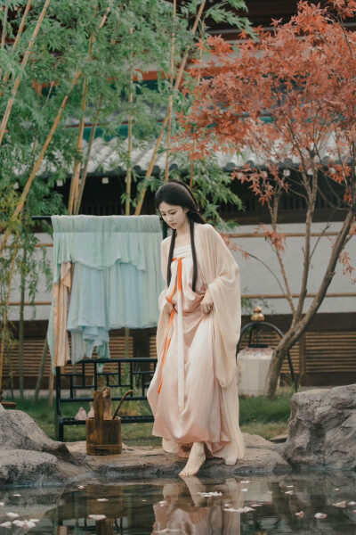 白鹿
