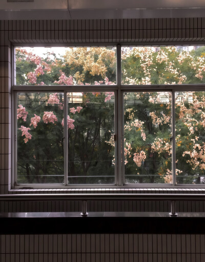 背景图 秋