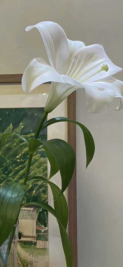 手机壁纸｜聊天背景图