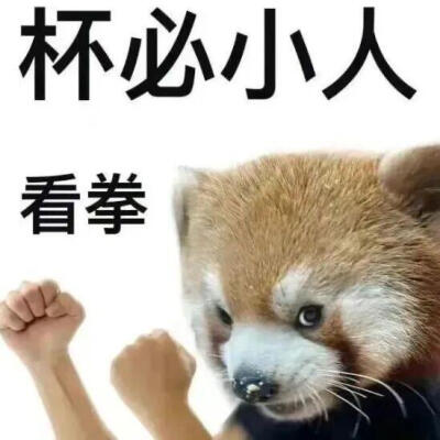 表情包