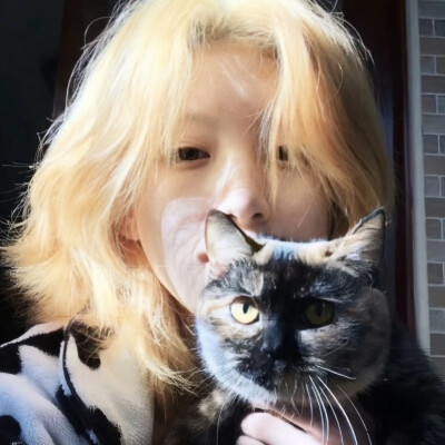 和猫