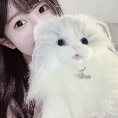 情侣头像