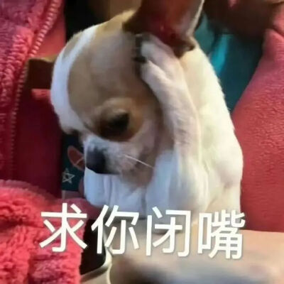 表情包