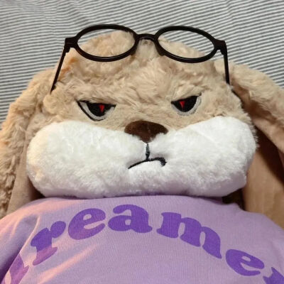 ₍˄·͈༝·͈˄*₎◞ ̑̑