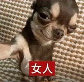 表情包
