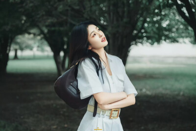 白鹿