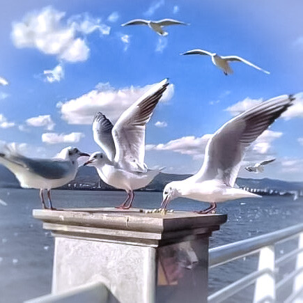 仅此一次的爱情