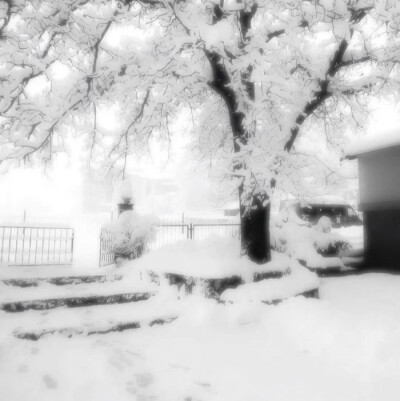 当第一片雪浸入我的骨髓我才开始感受到你手心的温度