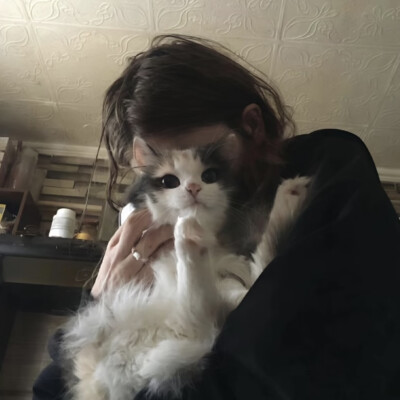 和猫