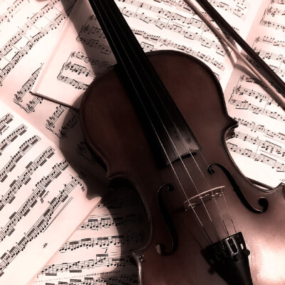 在我还对这个世界陌生的小小少女时代，曾经坚定的和她对视过