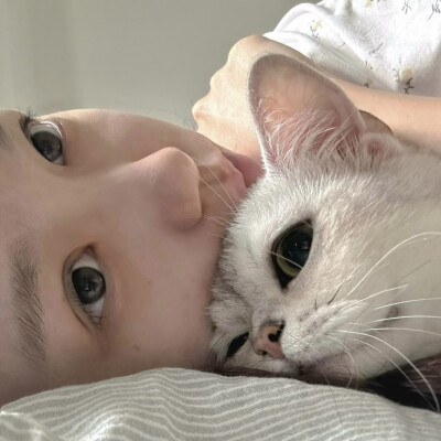 和猫