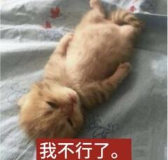 表情包