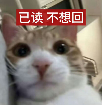 表情包
