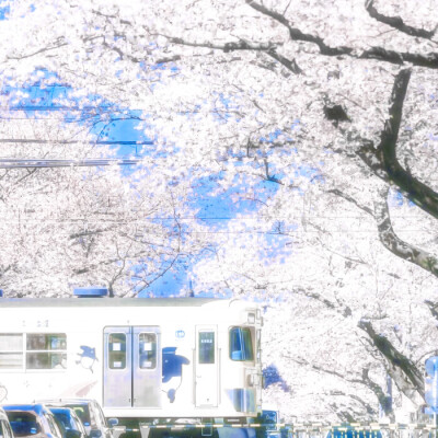 仅此一次的爱情