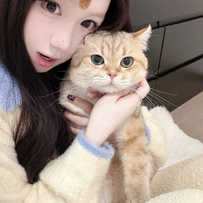 情侣头像