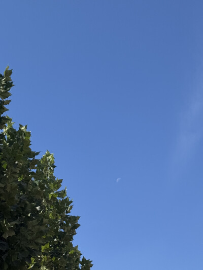 天10