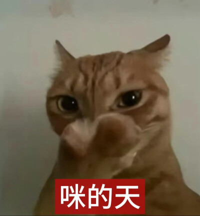 表情包