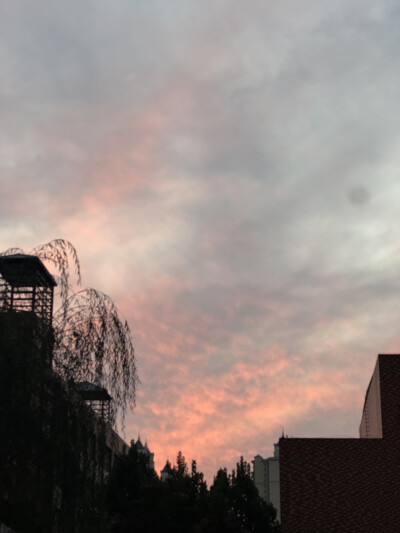 天10