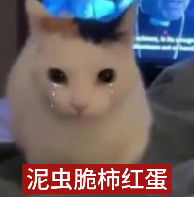 表情包