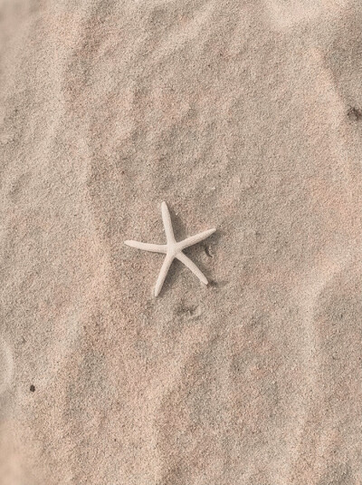 1955、Damp：邮票遗落在铁塔下枯叶堆里…